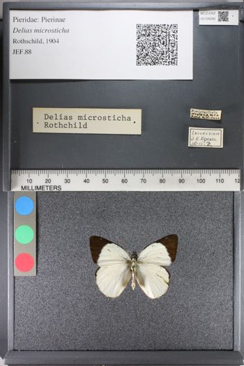 Media type: image;   Entomology 128280
